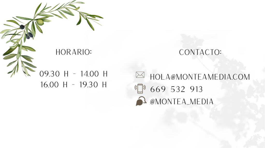 información montea media sl 